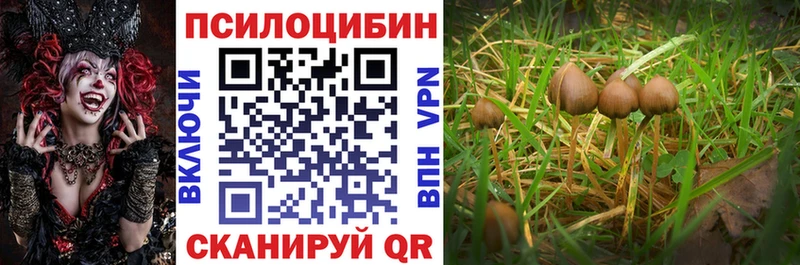 Псилоцибиновые грибы Cubensis  Купить где  Егорьевск 