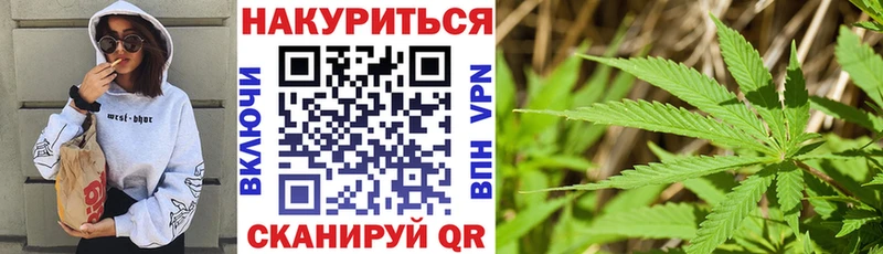 Конопля THC 21%  Купить где  Егорьевск 